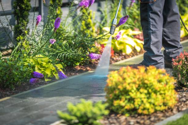 Best Sign and Awning Cleaning  in Volo, IL
